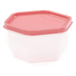 ПОЛЕСЬЕ Ёмкость №116 с крышкой, 0,5 литра (корпус бесцветный, крышка бледно-коралловая) 08579 ПОЛЕСЬЕ Ёмкость №116 с крышкой, 0,5 литра (корпус бесцветный, крышка бледно-коралловая) 08579