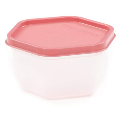 ПОЛЕСЬЕ Ёмкость №116 с крышкой, 0,5 литра (корпус бесцветный, крышка бледно-коралловая) 08579